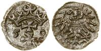 Polska, denar, 1550