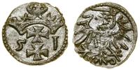 Polska, denar, 1551