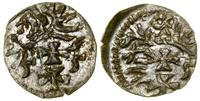 Polska, denar – destrukt menniczy, 1555