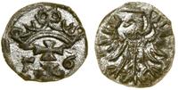 Polska, denar, 1556