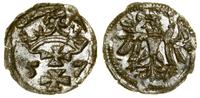 Polska, denar, 1557