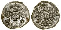 Polska, denar, 1558