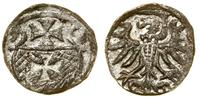Polska, denar, 1556 (?)