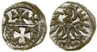 Polska, denar, 1554