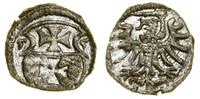 Polska, denar, 1555