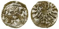 Polska, denar, 1557