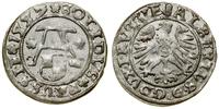 Prusy Książęce (1525–1657), szeląg, 1557