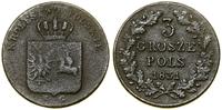 Polska, 3 grosze, 1831 KG