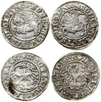 Polska, zestaw: 2 x półgrosz, 1510 i 1514