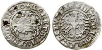 Polska, półgrosz, 1510