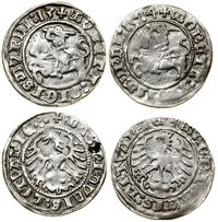 Polska, zestaw: 2 x półgrosz, 1513, 1514
