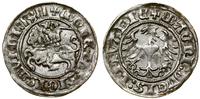 Polska, półgrosz, 1511