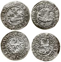 Polska, zestaw: 2 x półgrosz, 1512, 1515