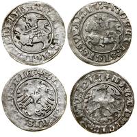 Polska, zestaw: 2 x półgrosz, 1512, 1515
