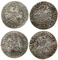Polska, zestaw: 2 x półgrosz, 1560, 1564