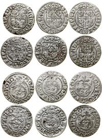 Polska, zestaw: 6 x półtorak, 1620–1625
