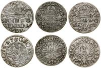 Polska, zestaw: 3 x grosz, 1623, 1624, 1627