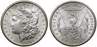 Stany Zjednoczone Ameryki (USA), 1 dolar, 1881 S
