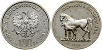 Polska, 100 złotych, 1981