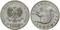 Polska, 1.000 złotych, 1985