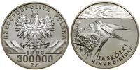 Polska, 300.000 złotych, 1993
