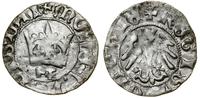 Polska, półgrosz koronny, (1412–1414)