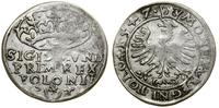 Polska, grosz, 1547