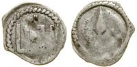 Litwa, denar, przed 1401