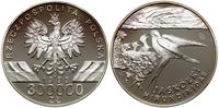 Polska, 300.000 złotych, 1993