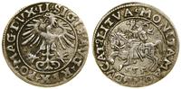 Polska, półgrosz, 1555