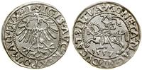 Polska, półgrosz, 1557