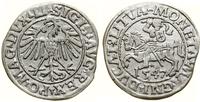 Polska, półgrosz, 1547