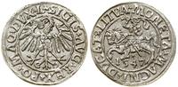 Polska, półgrosz, 1547