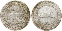 Polska, grosz, 1610