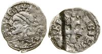 Polska, denar, (ok. 1358–1366)