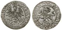 Polska, półgrosz, 1565