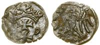 Polska, denar, 1549