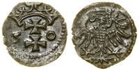 Polska, denar, 1550