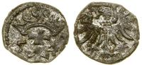 Polska, denar, 1554