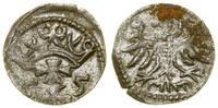 Polska, denar, 1555