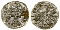 Polska, denar, 1556