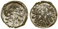 Polska, denar, 1557