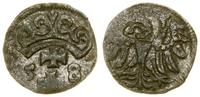 Polska, denar, 1558