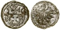 Polska, denar, 1556