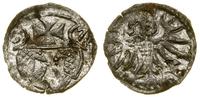 Polska, denar, 1557