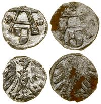 Prusy Książęce (1525–1657), lot 2 x denar, bez daty, 1558