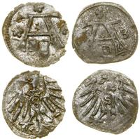 Prusy Książęce (1525–1657), lot 2 x denar, bez daty, 1563