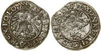 Polska, szeląg, 1531