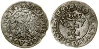 Polska, szeląg, 1546