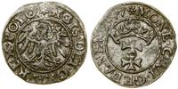 Polska, szeląg, 1547